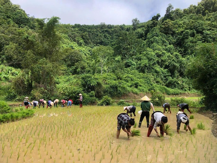 Phụ nữ Cao Bằng: Nhiều hoạt động thiết thực hướng về Đại hội Đảng các cấp - Ảnh 2. Phụ nữ Cao Bằng: Nhiều hoạt động thiết thực hướng về Đại hội Đảng các cấp - Ảnh 2.