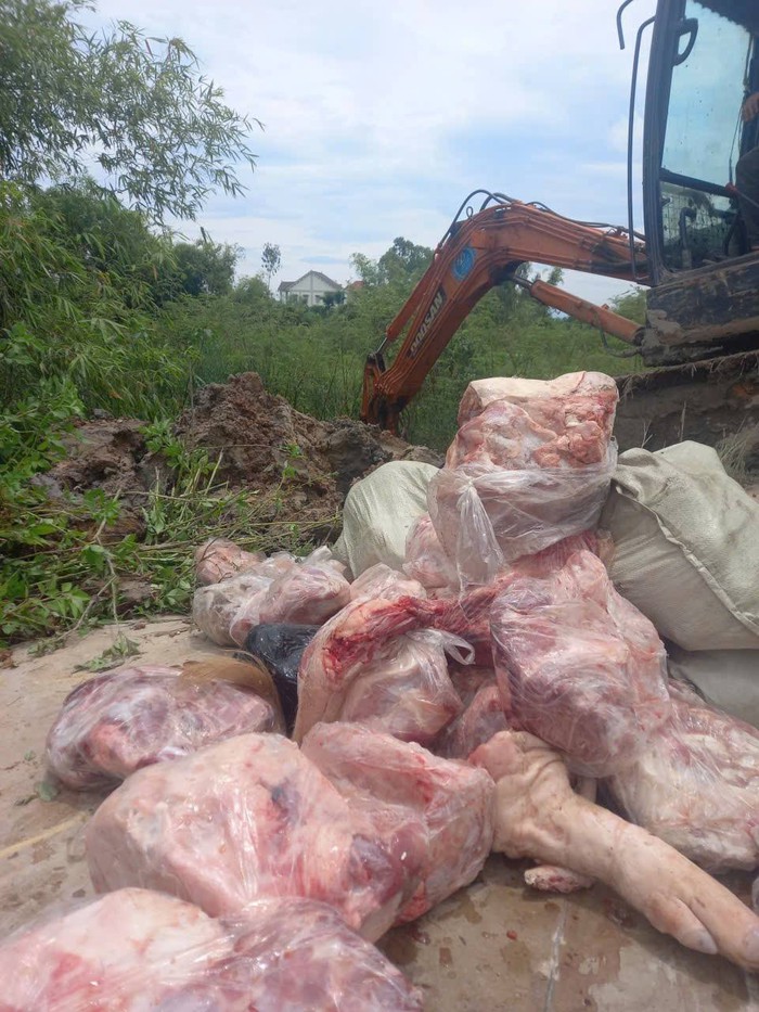 Nghệ An: Phát hiện gần 1 tấn thịt lợn bệnh - Ảnh 3. Nghệ An: Phát hiện gần 1 tấn thịt lợn bệnh - Ảnh 3.
