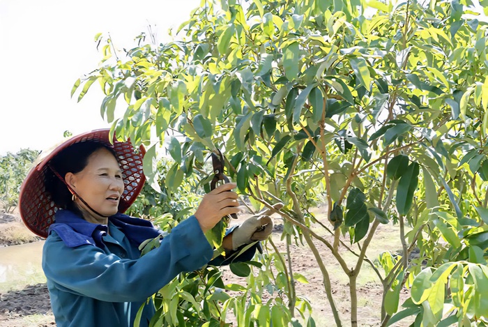 “Điểm tựa” giúp phụ nữ Hưng Yên thay đổi cuộc sống- Ảnh 2.