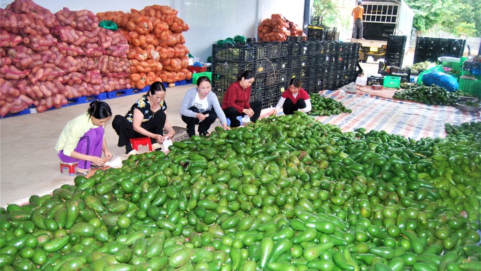 Chợ an toàn thực phẩm góp phần phát triển toàn diện nông thôn mới- Ảnh 2.