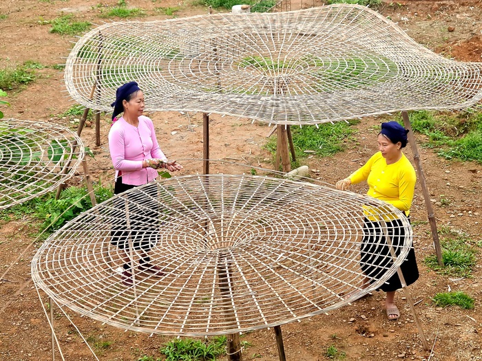 Tổ chức Hội thích ứng mô hình mới: Bám địa bàn, sâu sát hội viên- Ảnh 1. Tổ chức Hội thích ứng mô hình mới: Bám địa bàn, sâu sát hội viên- Ảnh 1.