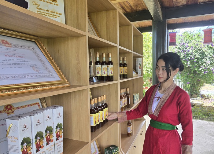 Viết giấc mơ khởi nghiệp từ những giọt mật- Ảnh 1.
