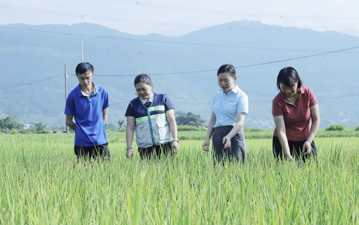 Tiểu khu Chiềng Thượng: Điểm sáng nông thôn mới kiểu mẫu- Ảnh 5.