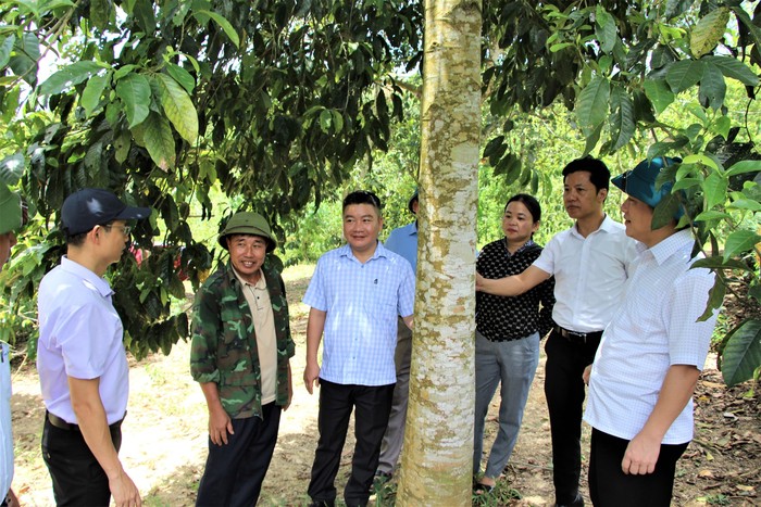 Hành trình "chuyển mình" ngoạn mục của xã biên giới- Ảnh 1.