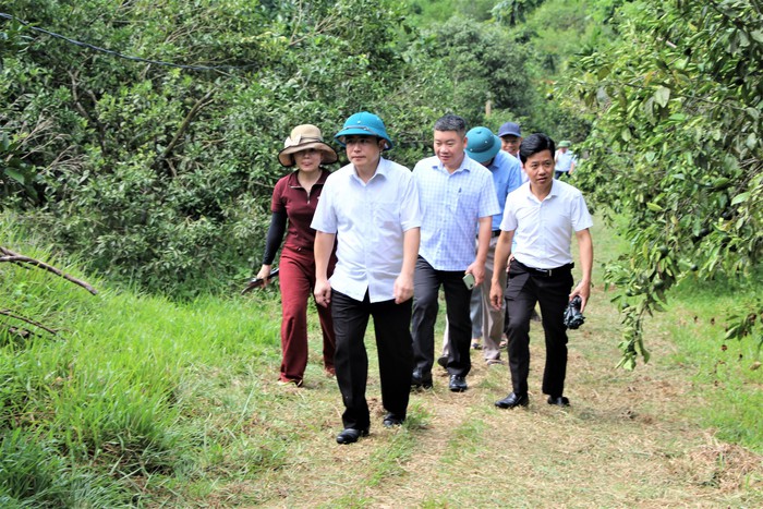 Hành trình "chuyển mình" ngoạn mục của xã biên giới- Ảnh 2.
