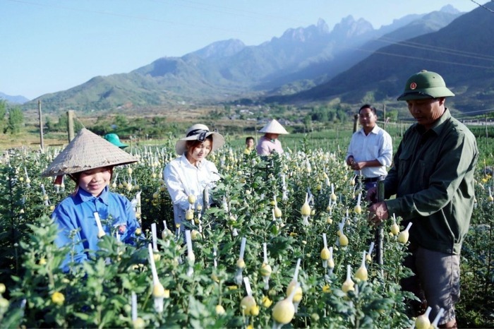 Xã Ngũ Chỉ Sơn: Xây dựng nông thôn mới từ nội lực cộng đồng- Ảnh 3. Xã Ngũ Chỉ Sơn: Xây dựng nông thôn mới từ nội lực cộng đồng- Ảnh 3.