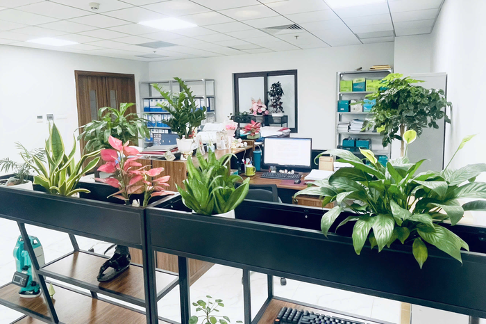 Ngành Nông nghiệp - Môi trường Sơn La: Hành động vì môi trường không khói thuốc- Ảnh 1.