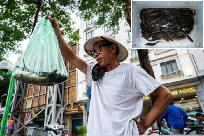 
Chuyên gia: Ăn cá sông Tô Lịch tăng nguy cơ ung thư
- Ảnh 2.
