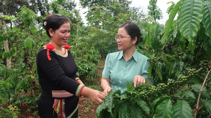 Nữ Bí thư chi bộ và hành trình giúp cha đẻ thành “đại sứ” cai thuốc lá- Ảnh 2.