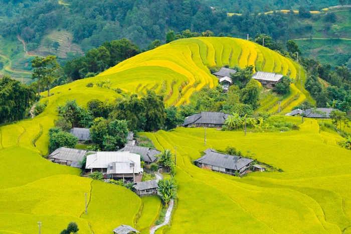 "Áo ấm cho em" mang yêu thương đến với học sinh vùng cao - Ảnh 2.