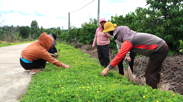 Con đường hoa nông thôn mới của phụ nữ Ea Knốp- Ảnh 4.
