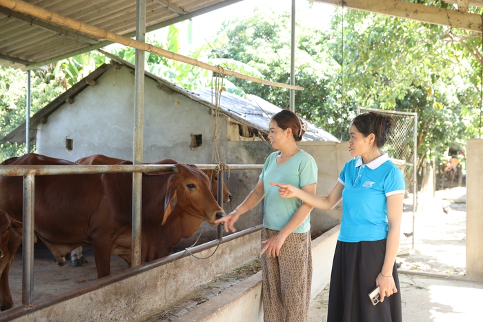 Chi hội trưởng thay đổi nếp nghĩ, nếp sống của phụ nữ bản Tân Hợp- Ảnh 3. Chi hội trưởng thay đổi nếp nghĩ, nếp sống của phụ nữ bản Tân Hợp- Ảnh 3.