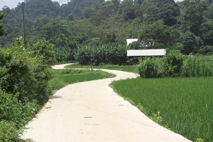 Bản Lũng Luông: Người trẻ nói không với thuốc lá- Ảnh 2. Bản Lũng Luông: Người trẻ nói không với thuốc lá- Ảnh 2.