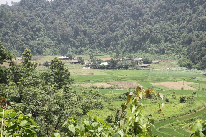 Bản Lũng Luông: Người trẻ nói không với thuốc lá- Ảnh 1. Bản Lũng Luông: Người trẻ nói không với thuốc lá- Ảnh 1.