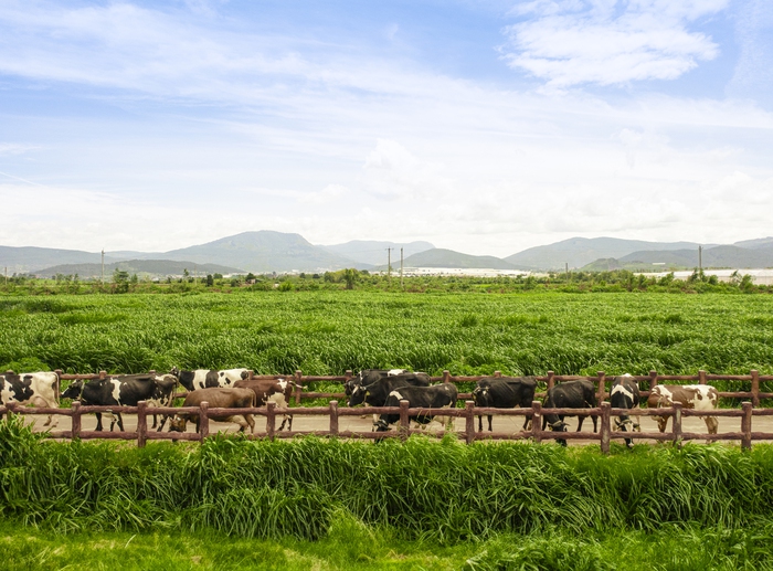 Chiếc nắp chai góp phần giúp Vinamilk tăng trưởng doanh số gần 80% tại New Zealand- Ảnh 2. Chiếc nắp chai góp phần giúp Vinamilk tăng trưởng doanh số gần 80% tại New Zealand- Ảnh 2.