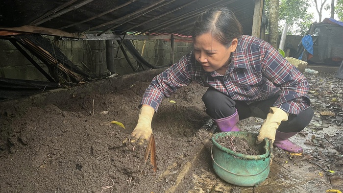Tín dụng vi mô tiếp sức phụ nữ miền núi vươn lên phát triển kinh tế- Ảnh 1.
