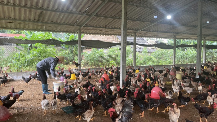 Tín dụng vi mô tiếp sức phụ nữ miền núi vươn lên phát triển kinh tế- Ảnh 2.