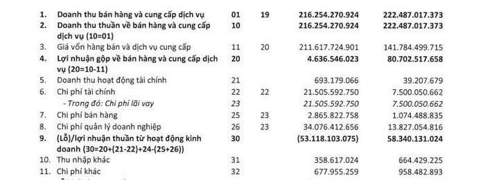 Lỗ đậm nửa đầu năm, chuỗi bệnh viện TNH lên kế hoạch phát hành hơn 21 triệu cổ phiếu thưởng- Ảnh 2.