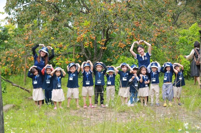 Mùa hồng chín ở núi Đại Huệ- Ảnh 3.