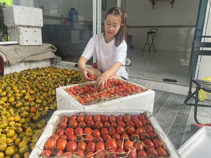 Mùa hồng chín ở núi Đại Huệ- Ảnh 2.