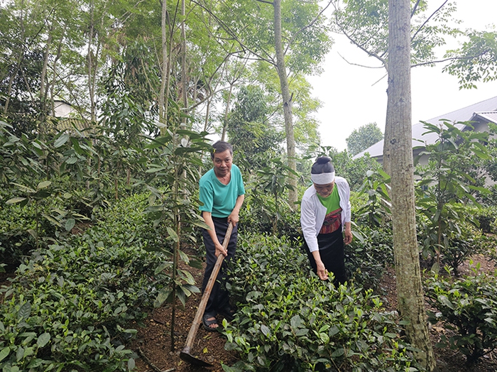 Xây dựng gia đình “ấm no, hạnh phúc, tiến bộ, văn minh”: Lan tỏa từ phong trào đến đời sống- Ảnh 1.