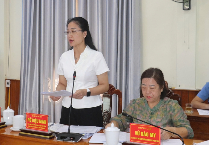 Cần phát triển đa dạng các hoạt động truyền thông về bình đẳng giới tại Điện Biên- Ảnh 1.