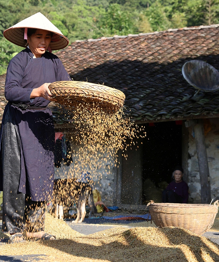 Mùa vàng Trùng Khánh- Ảnh 2.