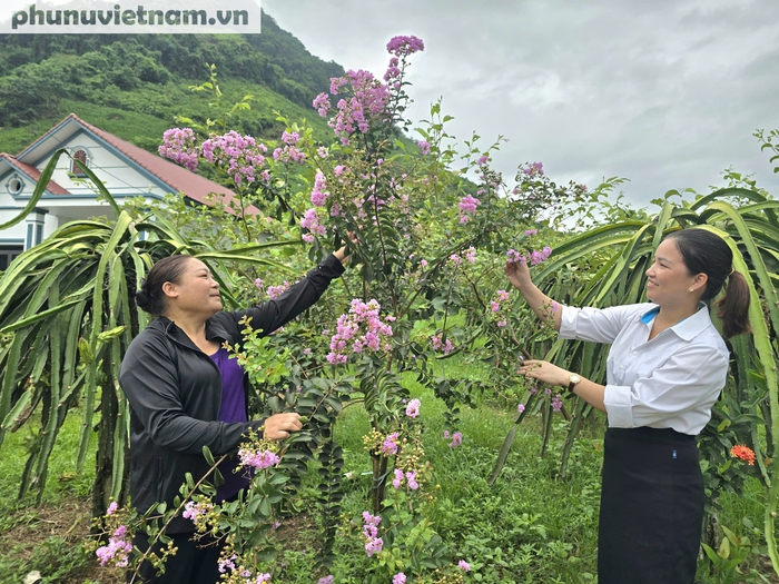 Đưa thôn bản thành miền quê đáng sống từ những đóng góp đơn giản nhất- Ảnh 1. Đưa thôn bản thành miền quê đáng sống từ những đóng góp đơn giản nhất- Ảnh 1.