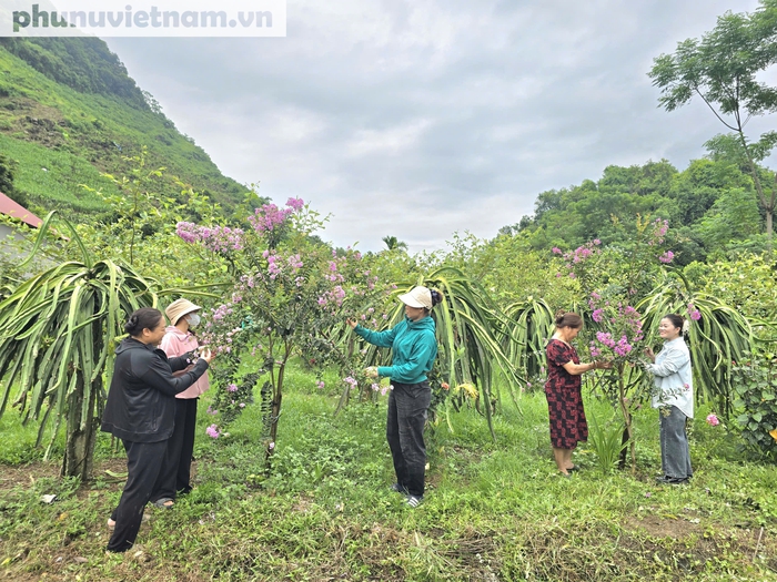 Đưa thôn bản thành miền quê đáng sống từ những đóng góp đơn giản nhất- Ảnh 3. Đưa thôn bản thành miền quê đáng sống từ những đóng góp đơn giản nhất- Ảnh 3.