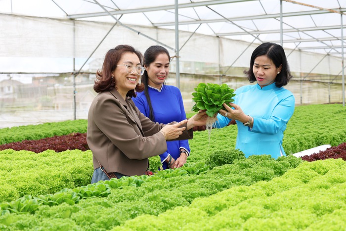 Hội LHPN Việt Nam kiểm tra, giám sát Dự án 8 tại tỉnh Lâm Đồng- Ảnh 6.