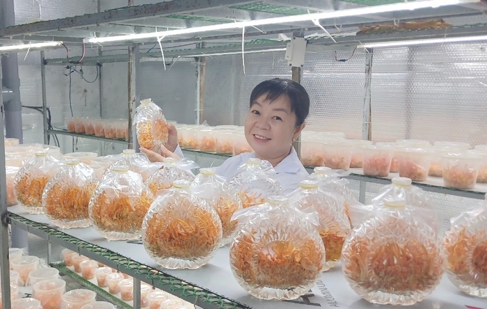 Lan tỏa tinh thần xây dựng nông thôn mới trong hội viên, phụ nữ- Ảnh 1. Lan tỏa tinh thần xây dựng nông thôn mới trong hội viên, phụ nữ- Ảnh 1.