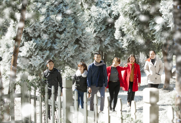 Giới trẻ hào hứng “sống ảo” trong khu vườn Châu Âu tuyết trắng giữa Ba Vì - Ảnh 1.