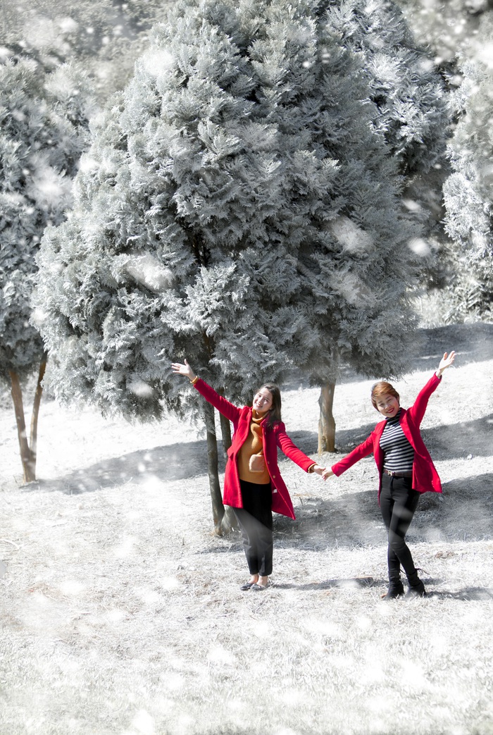 Giới trẻ hào hứng “sống ảo” trong khu vườn Châu Âu tuyết trắng giữa Ba Vì - Ảnh 2.