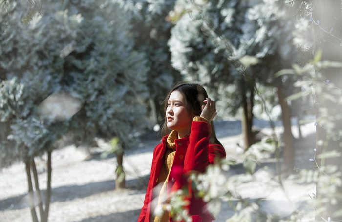 Giới trẻ hào hứng “sống ảo” trong khu vườn Châu Âu tuyết trắng giữa Ba Vì - Ảnh 4.