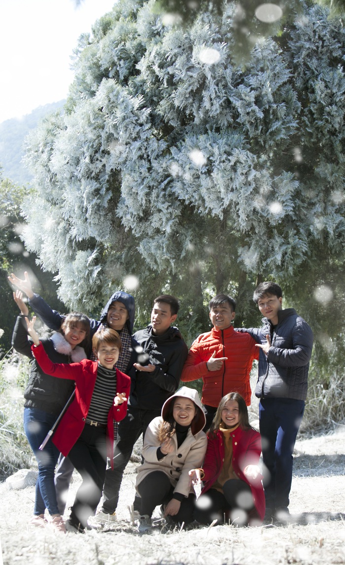 Giới trẻ hào hứng “sống ảo” trong khu vườn Châu Âu tuyết trắng giữa Ba Vì - Ảnh 9.