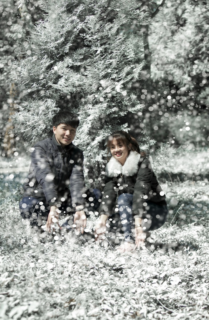 Giới trẻ hào hứng “sống ảo” trong khu vườn Châu Âu tuyết trắng giữa Ba Vì - Ảnh 7.