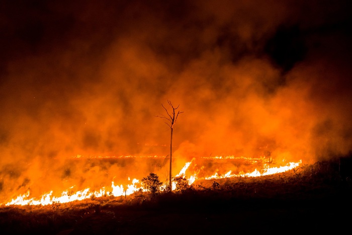 Cháy rừng Amazon