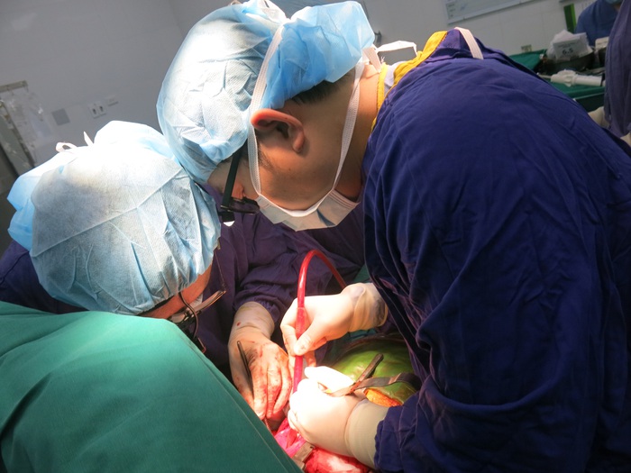 Lần đầu tiên tại Việt Nam: Thực hiện ghép phổi, sửa tim cho nữ bệnh nhân 30 tuổi - Ảnh 1.