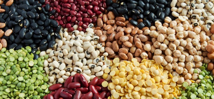 6 lý do nên bổ sung các loại đậu vào chế độ ăn cho con tuổi dậy thì - Ảnh 2.