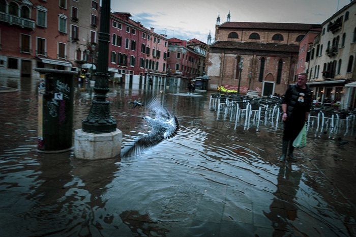 Nữ nhiếp ảnh gia dầm mình chụp Venice (Ý) trong cơn lũ lịch sử - Ảnh 1.