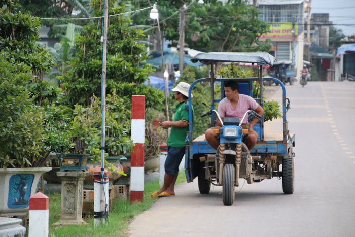 Rộn ràng mùa mai Tết ở thủ phủ mai vàng miền Trung - Ảnh 4.