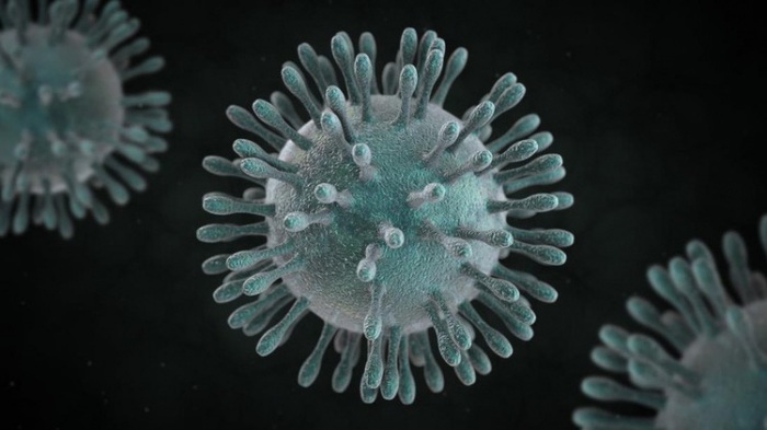 Thành lập đội phản ứng nhanh cứu chữa bệnh nhân viêm phổi cấp do virus corona - Ảnh 1.
