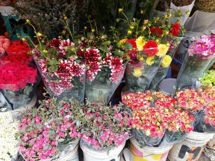 Kinh nghiệm mua hoa Tết đẹp, không bị ‘chặt chém’ ở chợ hoa Quảng Bá  - Ảnh 3.