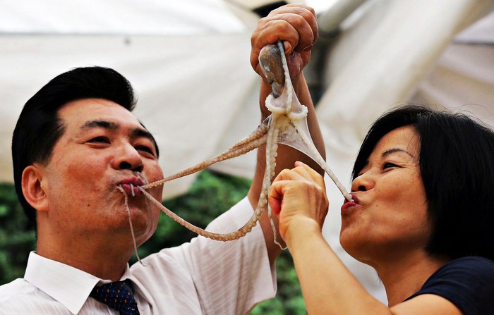 Đặc sản bạch tuộc sống Hàn Quốc: Cho vào miệng vẫn còn ngoe nguẩy - Ảnh 4.