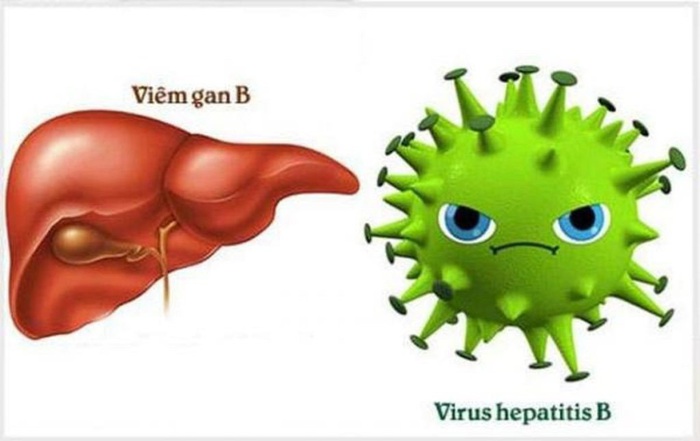 Viêm gan B có lây không và cách phòng ngừa mắc bệnh - Ảnh 1.