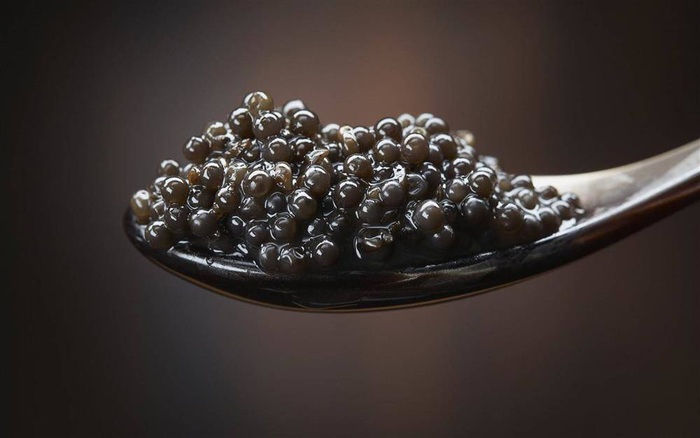 Trứng cá muối Caviar: Món ăn xa hoa chỉ dành cho nhà giàu, khi ăn phải dùng thìa vàng - Ảnh 2.