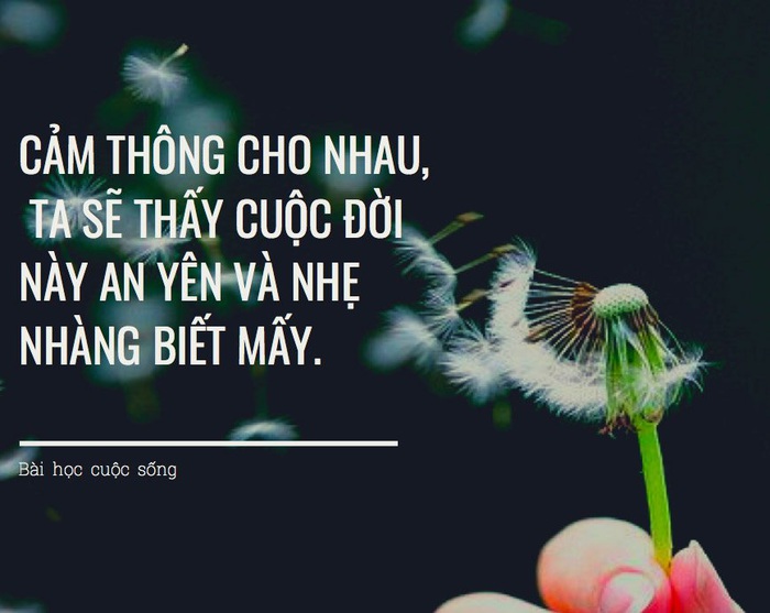 3 câu chuyện nhỏ mang đến bài học lớn đáng suy ngẫm về cuộc sống - Ảnh 3.