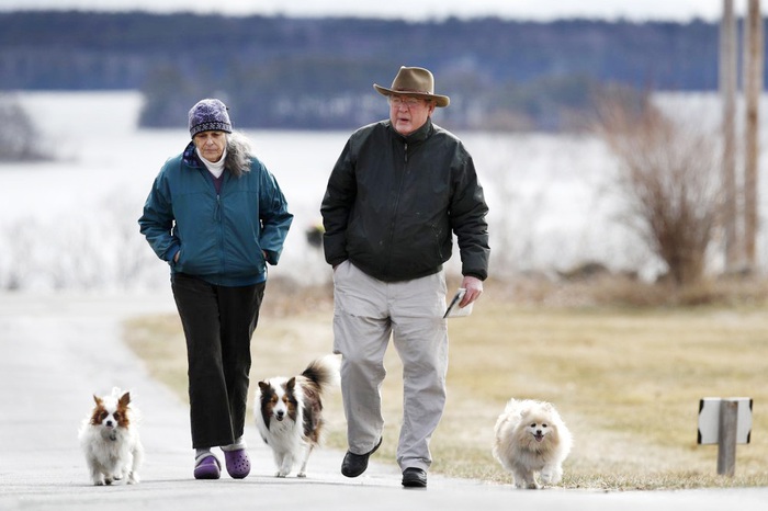 Ông bà Betsy và David Sheen đi dạo cùng những chú chó