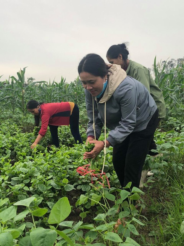 Thanh Hóa: Hỗ trợ gần 100 kg rau, củ cho Bệnh viện phòng chống dịch COVID -19 - Ảnh 1.