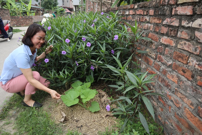 Bảo vệ không gian sống bằng sử dụng men vi sinh bón hoa màu và tiêu rác thải - Ảnh 3.